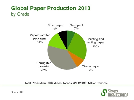 Global Paper Production by Grade 2013